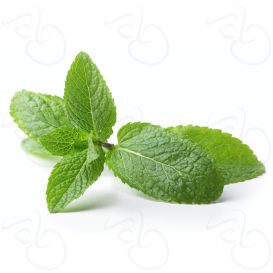 Peppermint II by TPA